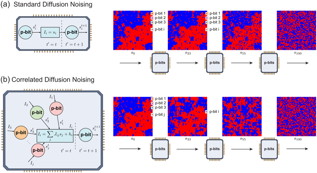 Figure from the paper: standard versus correlated diffusion noising on p-bit hardware, with red and blue spin lattices at successive noising steps.